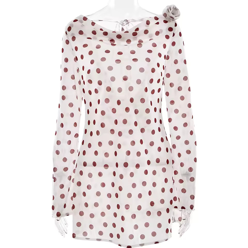 Transparent Polka Dot Chiffon Dress Women Sexy Swing Neck Long Sleeve Slim Fit Club Gowns